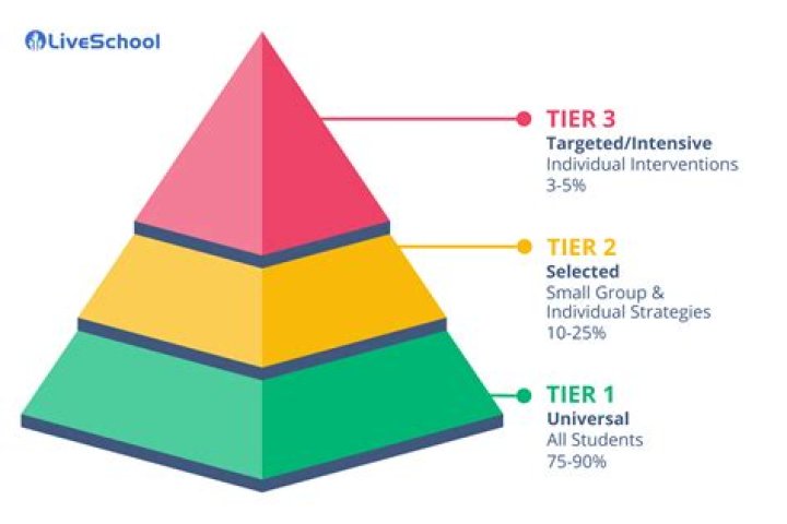 What is a Tier 2 security clearance?