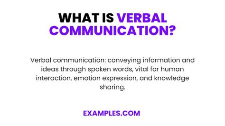 What is a verbal 415?