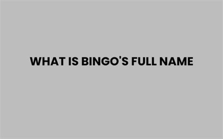 What is bingos full name?