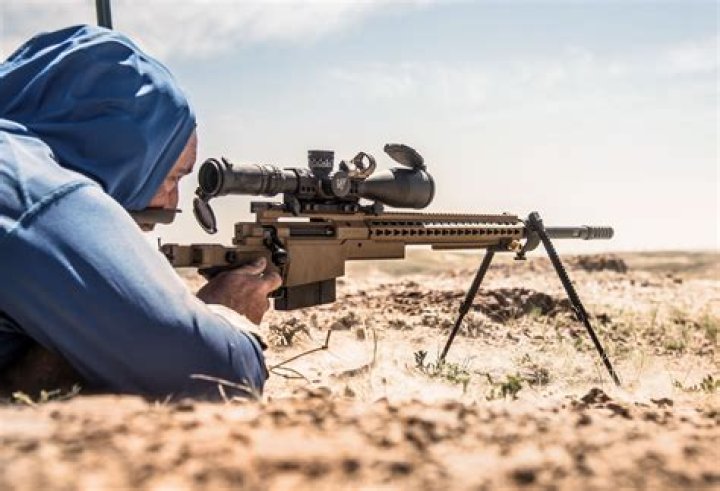 What is Canada's sniper rifle?