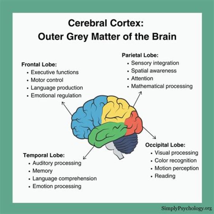 What is cerebral writing?