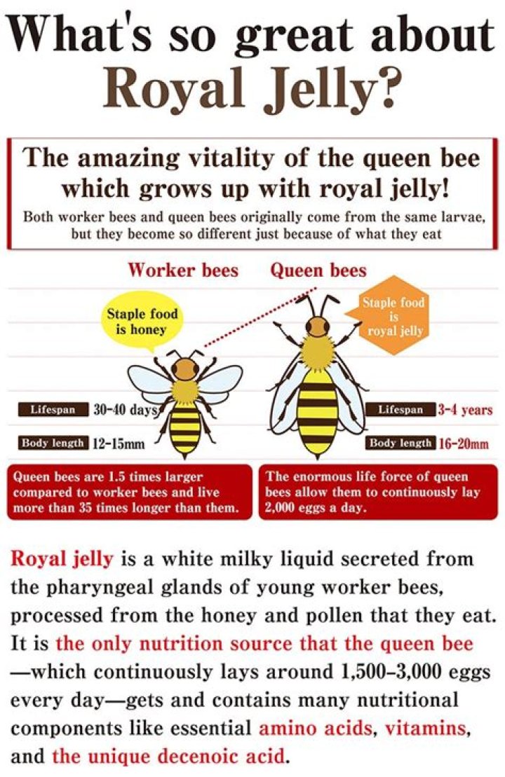 What is royal jelly bee?