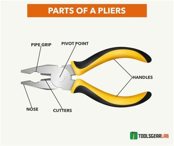 What is the meaning of plier?