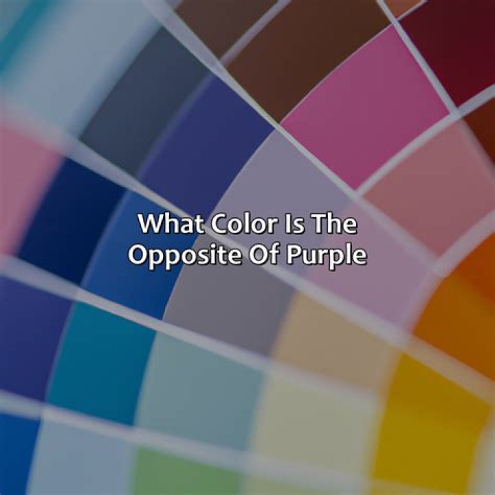 What is the opposite of apple?