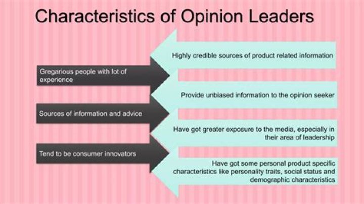 What is the role of opinion leaders explain with reference to communication flow theories?