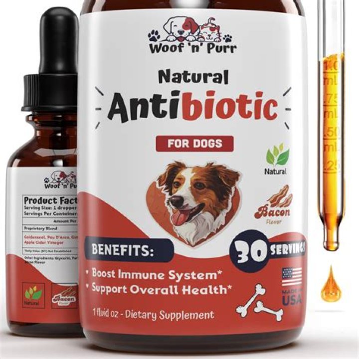 What over the counter antibiotics can I give my dog?