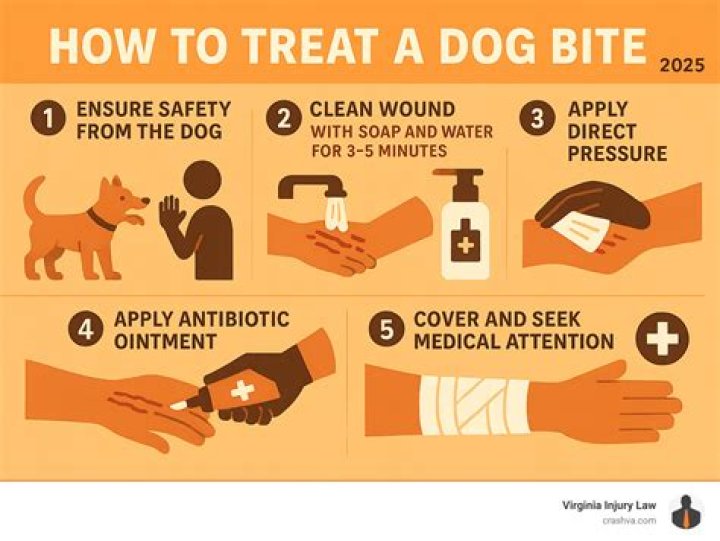 What to do if an unvaccinated puppy bites you?
