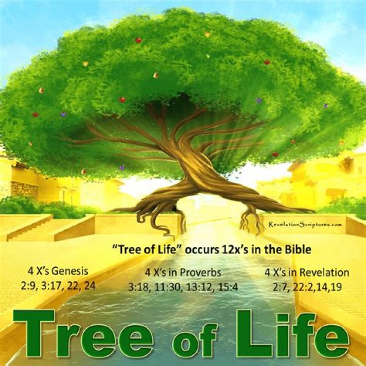 What tree of life means?