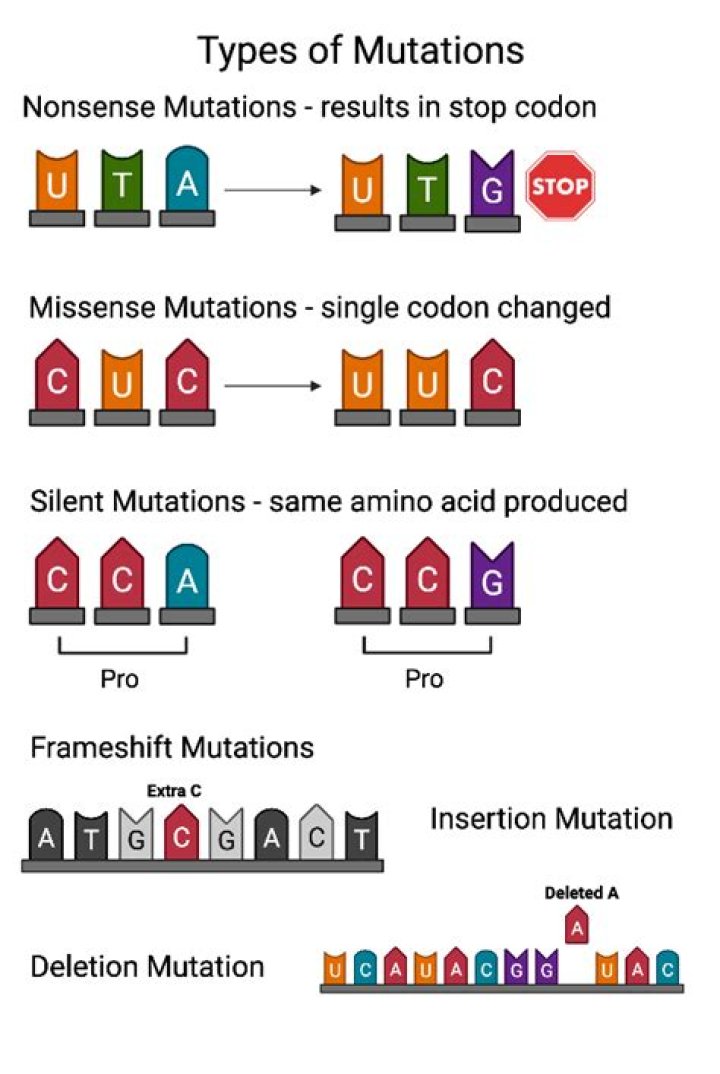 What type of mutation is CF?