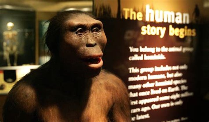 What was the first human on Earth?