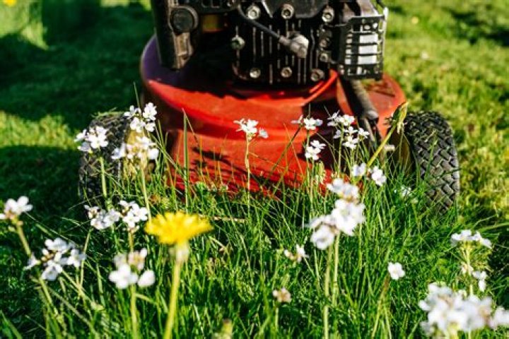 When should you stop cutting your lawn?