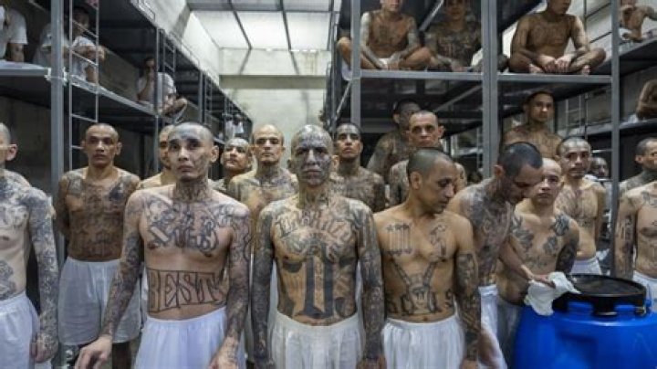 Where do insane criminals go?