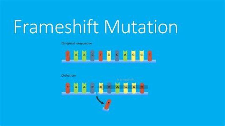 Where does frameshift mutation happen?