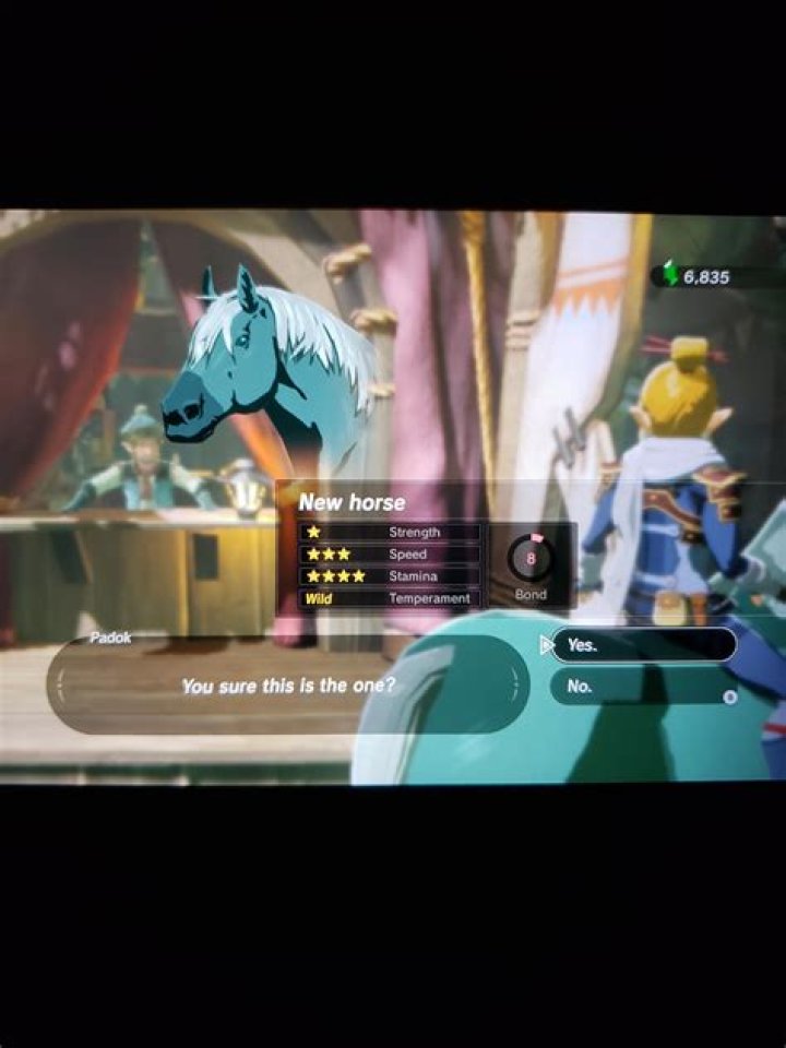 Where is the 5 star horse Botw?