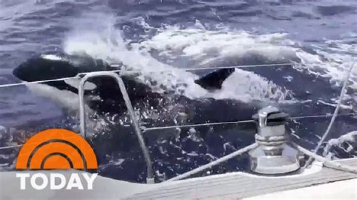 Where is the boat Orca from Jaws?