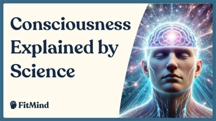 Where is the consciousness located?