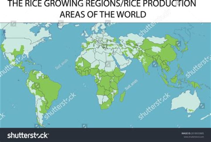 Where is wild rice grown in California?