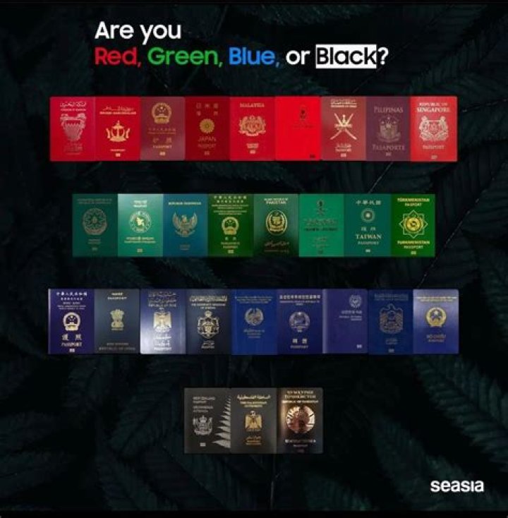 Which country has black color passport?