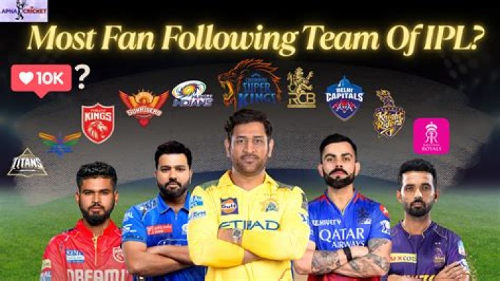 Which cricket team has most fans?