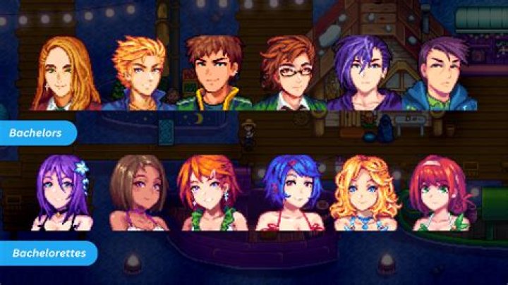 Which girl should I marry Stardew?