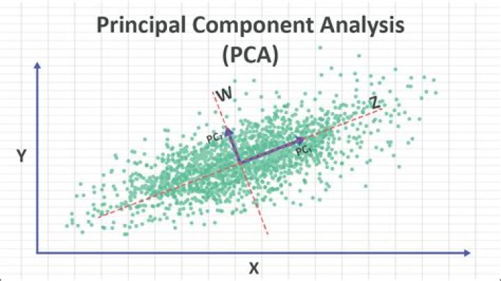 Which is an alternative technique to principal component analysis?
