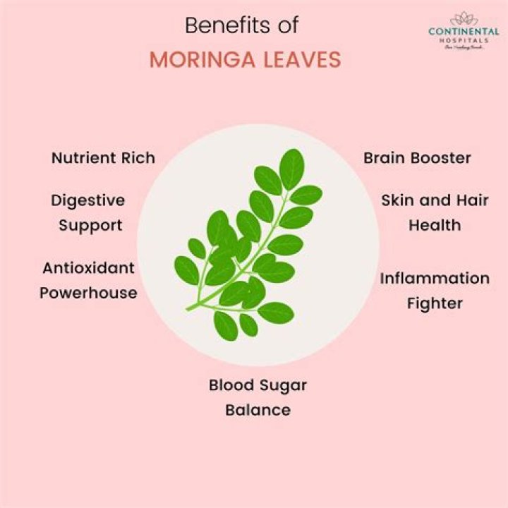 Which is better fresh or dried moringa?