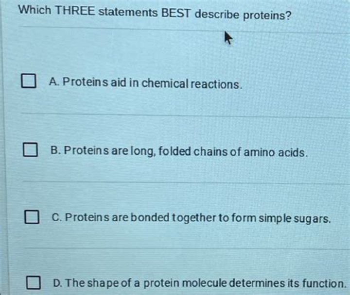 Which of the following statements best describes how a mutation changes the shape of a protein?