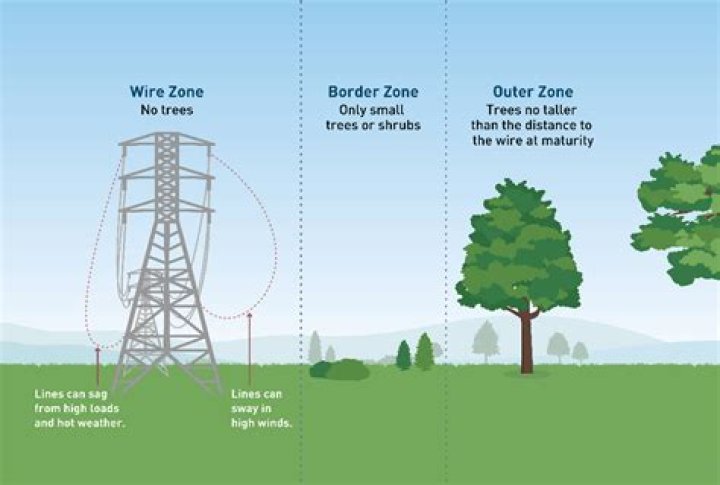 Who is responsible for trimming trees around powerlines?