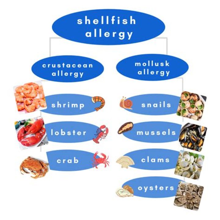 Why am I allergic to shrimp but not crab?