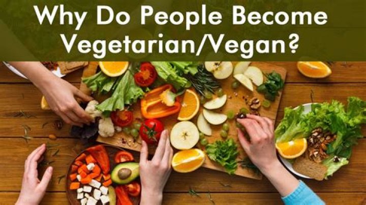 Why are vegans always tired?