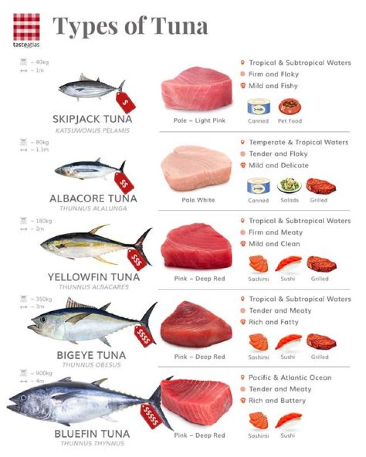 Why can you eat raw tuna?