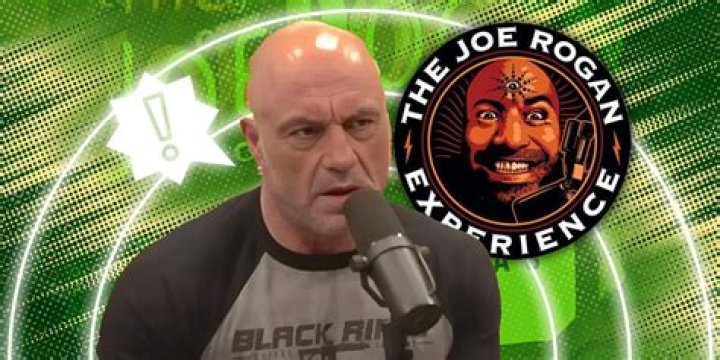 Why did Joe Rogan stop Taekwondo?