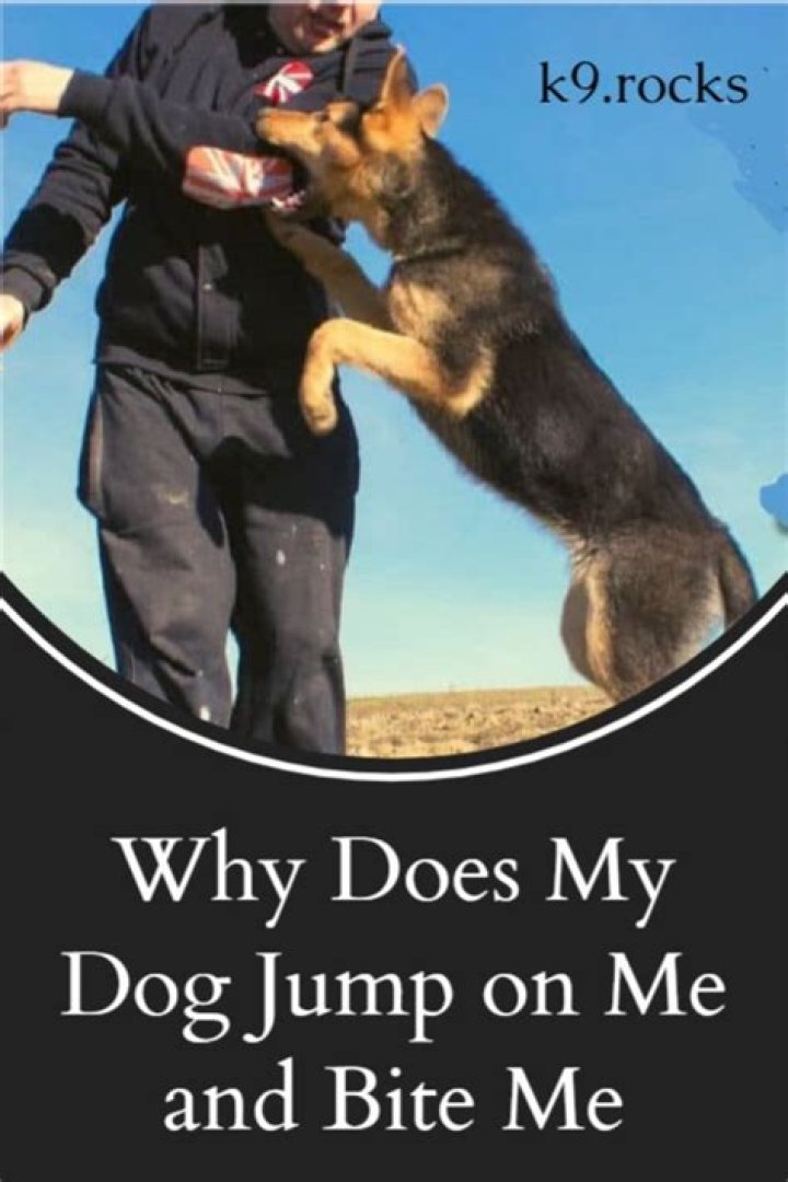 Why does my dog jump on me when my husband hugs me?