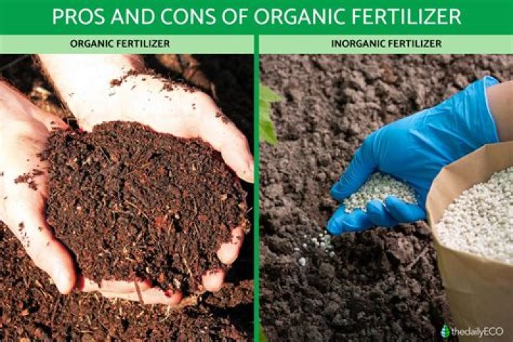 Why don't we use human feces as fertilizer?