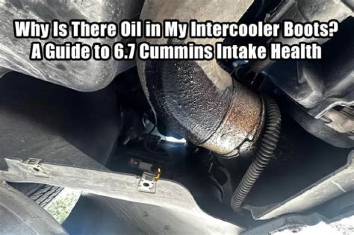Why is there oil in my intercooler?